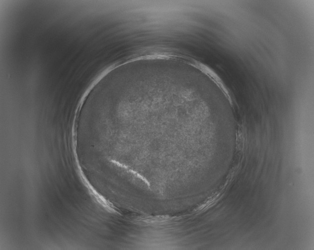 X0000082710859200702161814