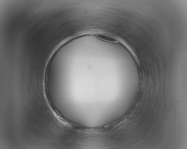 X0000082710861200702161814