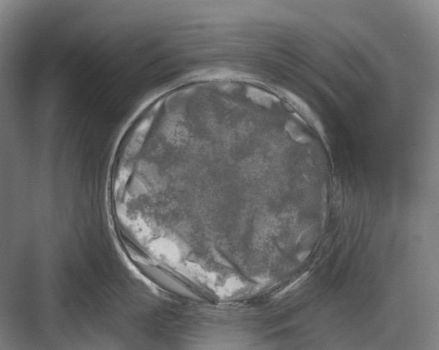 X0000082710863200702161814