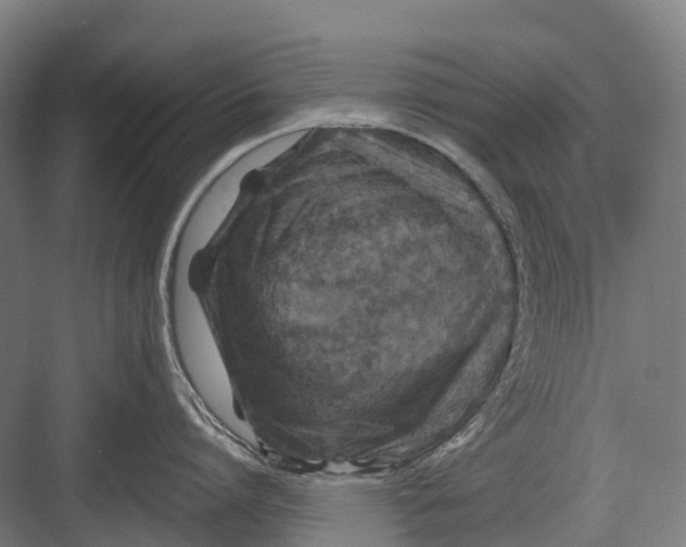 X0000082710864200702161814