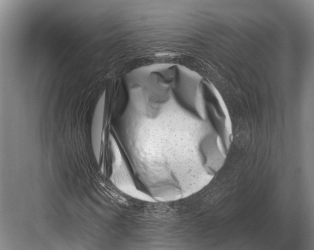 X0000082710866200702161813