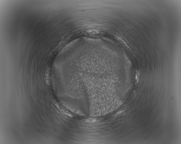 X0000082710867200702161813