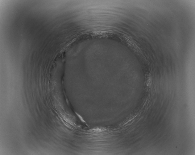 X0000082710868200702161813