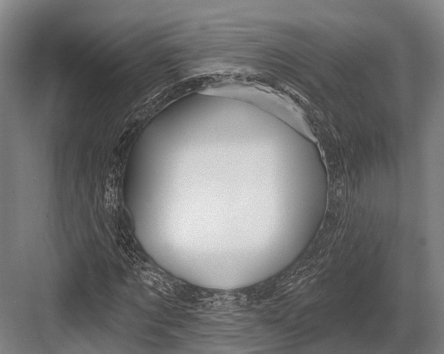 X0000082710869200702161813