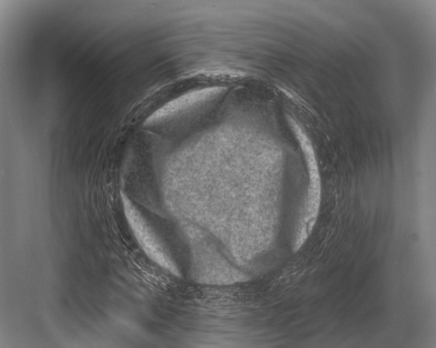 X0000082710870200702161813