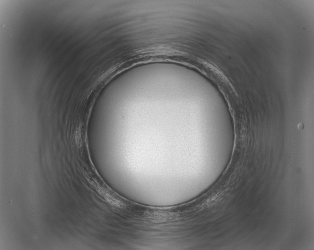 X0000082710873200702161813