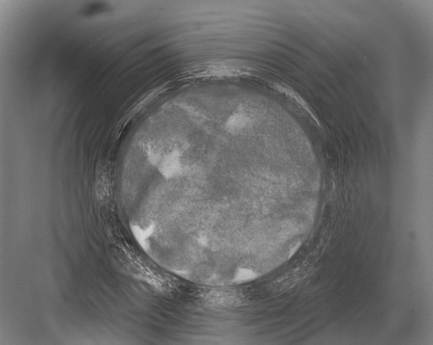 X0000082710874200702161813