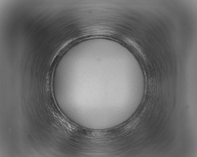 X0000082710875200702161813