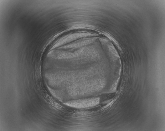 X0000082710877200702161813