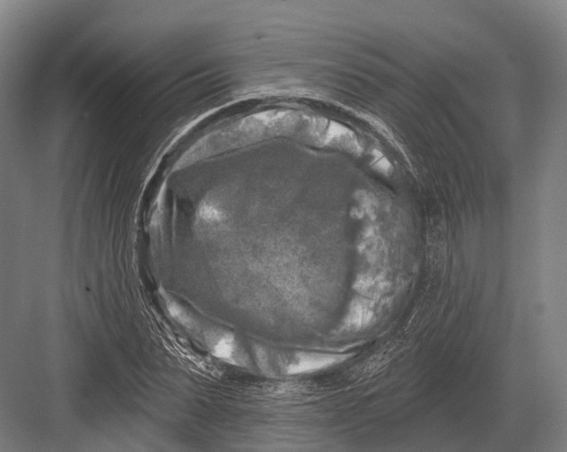 X0000082710879200702161813