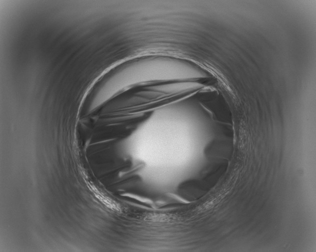 X0000082710880200702161813