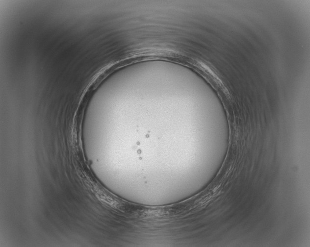 X0000082710883200702161813