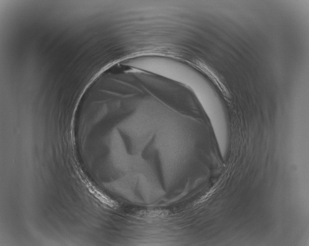 X0000082710884200702161813