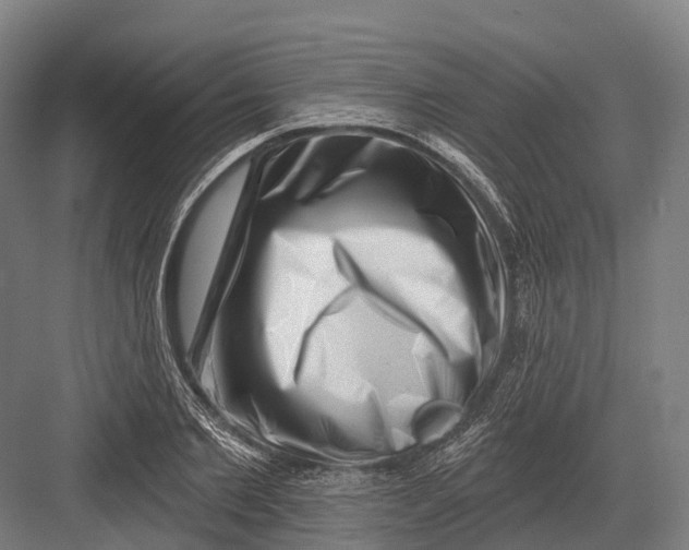 X0000082710885200702161813