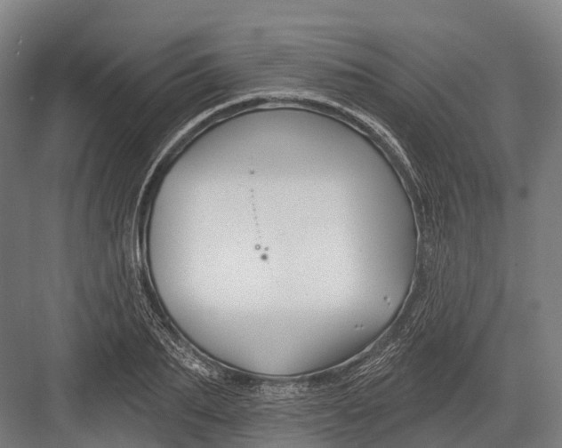 X0000082710887200702161813