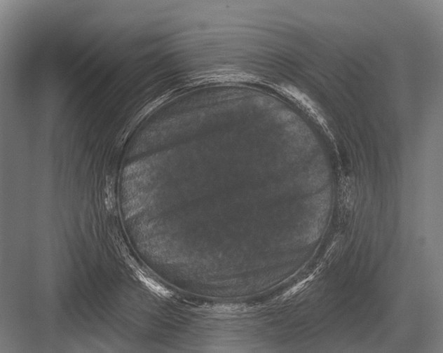 X0000082710889200702161813