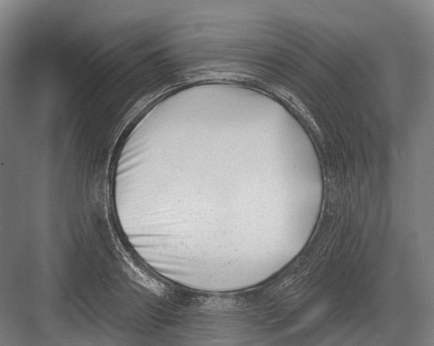 X0000082710890200702161813