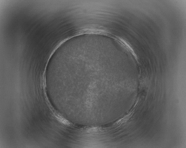 X0000082710891200702161813