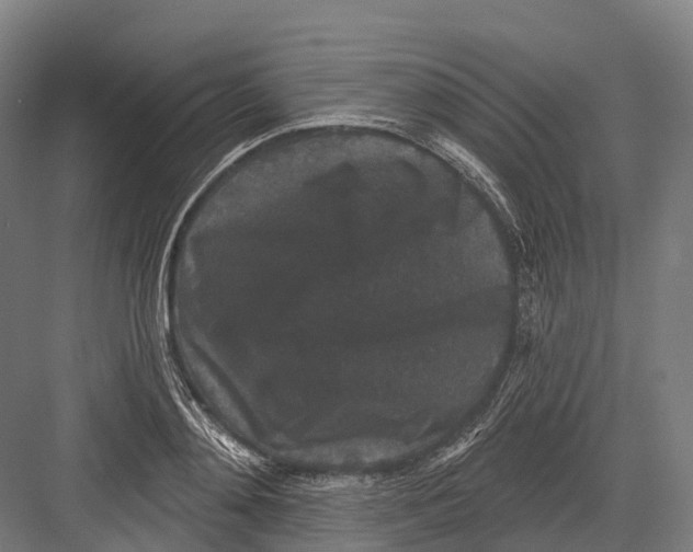 X0000082710892200702161812