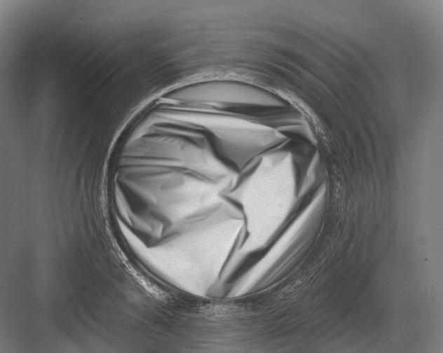 X0000082710894200702161812