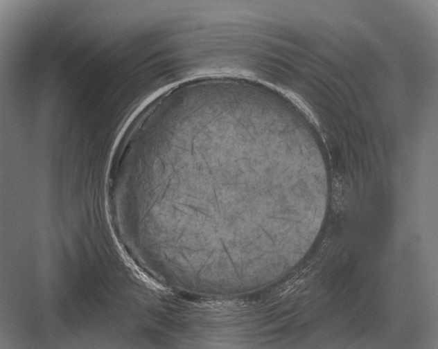 X0000082710895200702161812