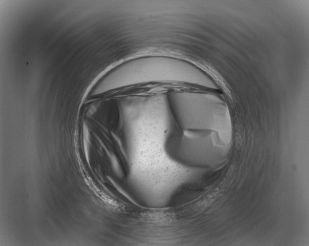 X0000082710896200702161812