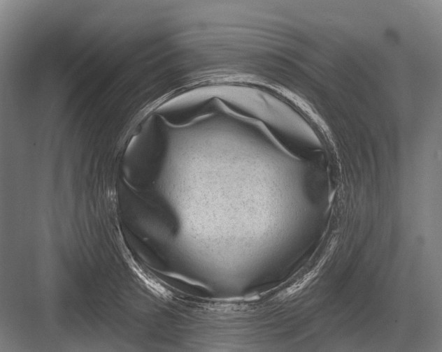 X0000082710897200702161812