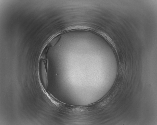 X0000082710898200702161812