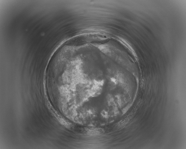 X0000082710899200702161812