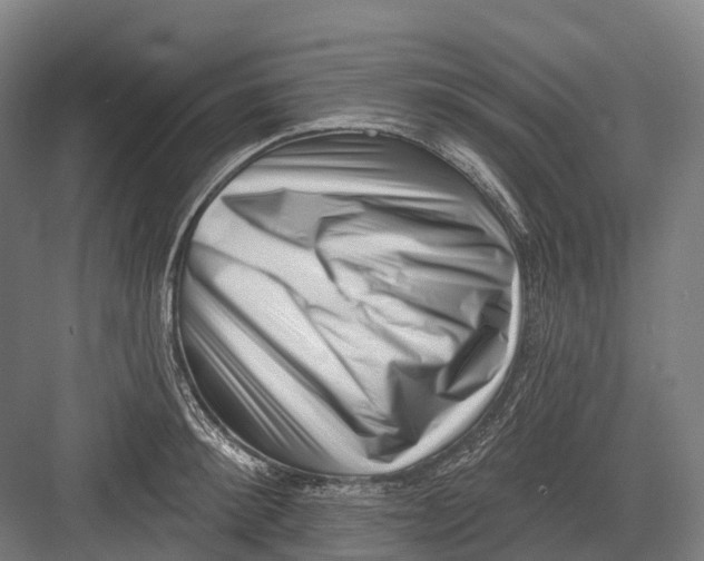 X0000082710900200702161812