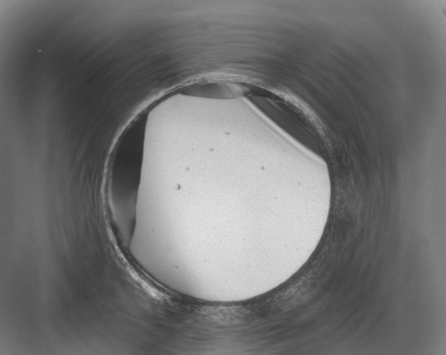 X0000082710902200702161812