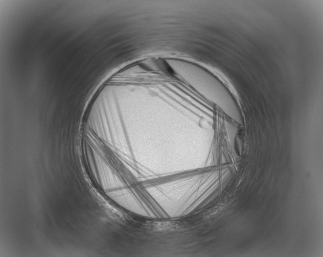 X0000082710903200702161812