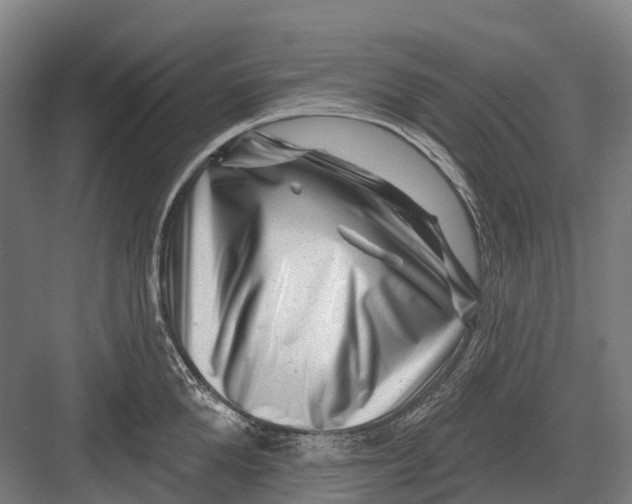 X0000082710904200702161812