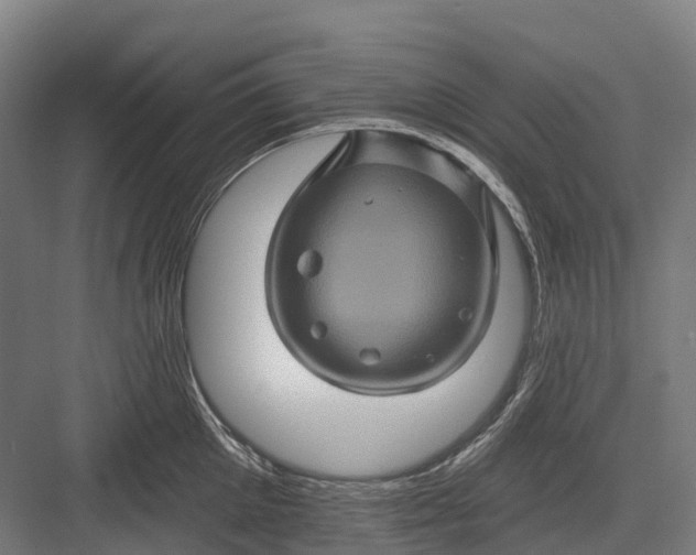 X0000082710905200702161812