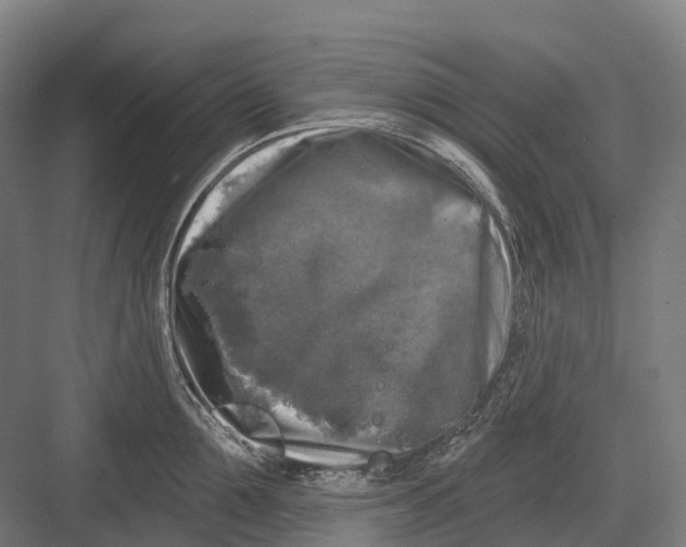 X0000082710907200702161812