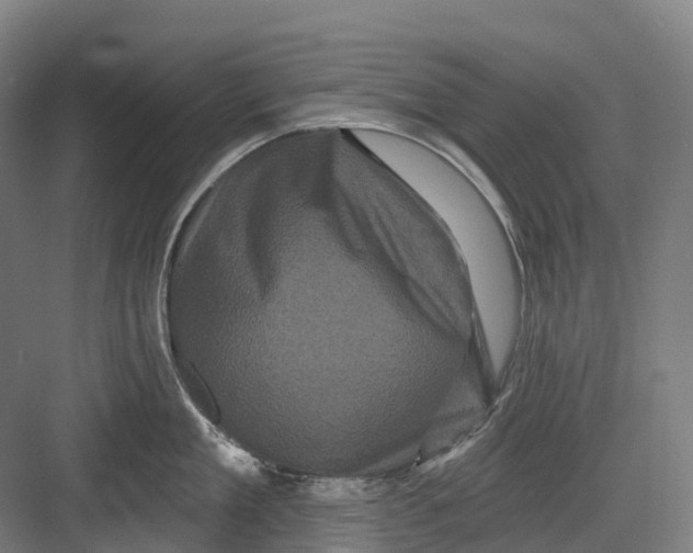 X0000082710909200702161812