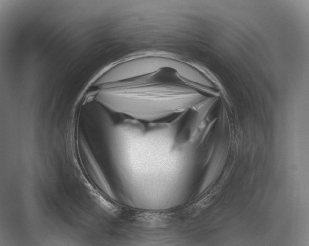 X0000082710910200702161812