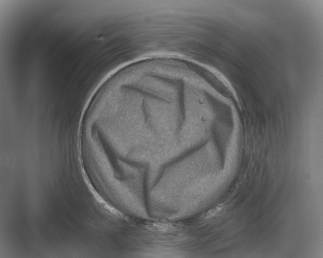 X0000082710911200702161812