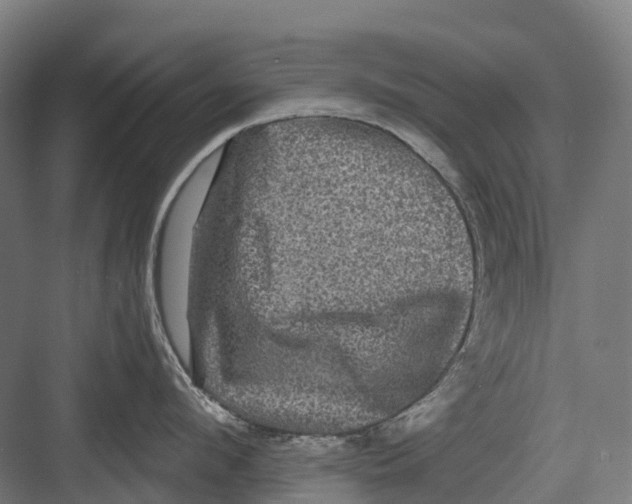 X0000082710912200702161812