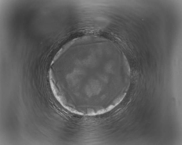 X0000082710913200702161811