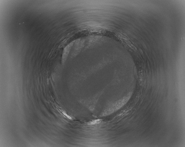 X0000082710916200702161811