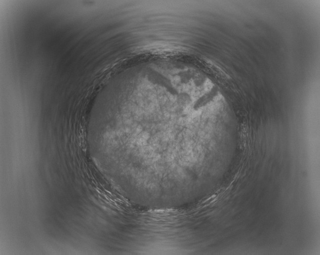 X0000082710917200702161811