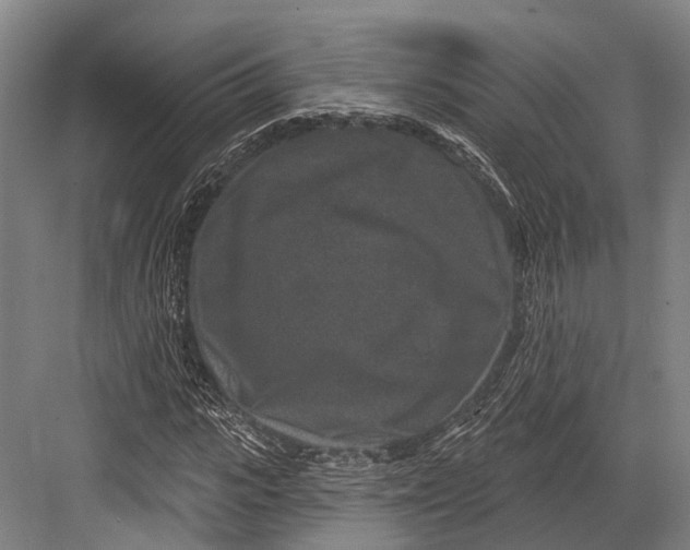 X0000082710919200702161811