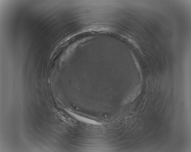 X0000082710920200702161811