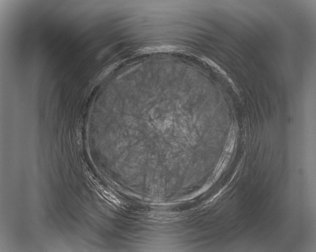 X0000082710921200702161811