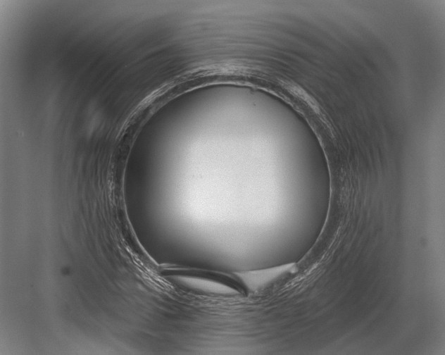 X0000082710922200702161812