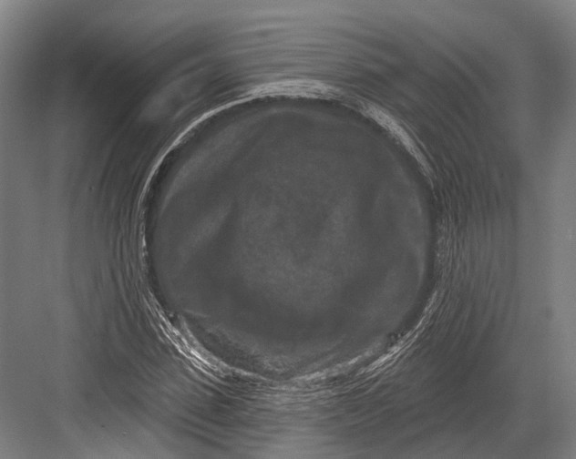 X0000082710923200702161812