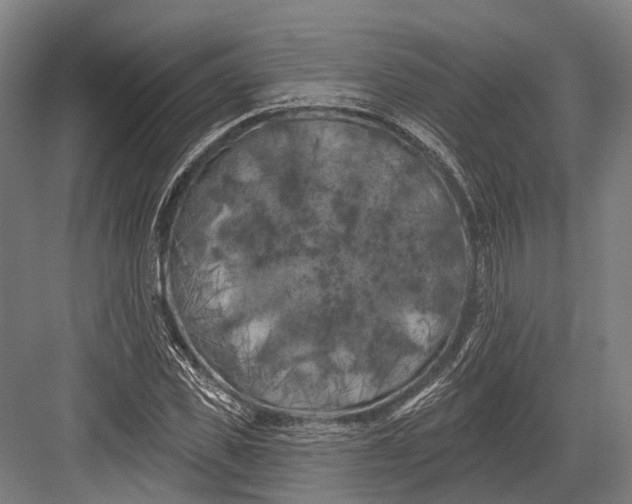 X0000082710925200702161812