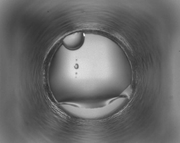 X0000082710926200702161812