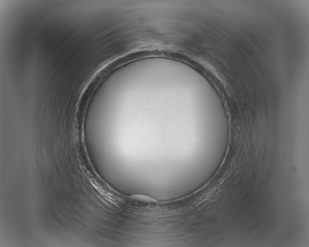 X0000082710927200702161812